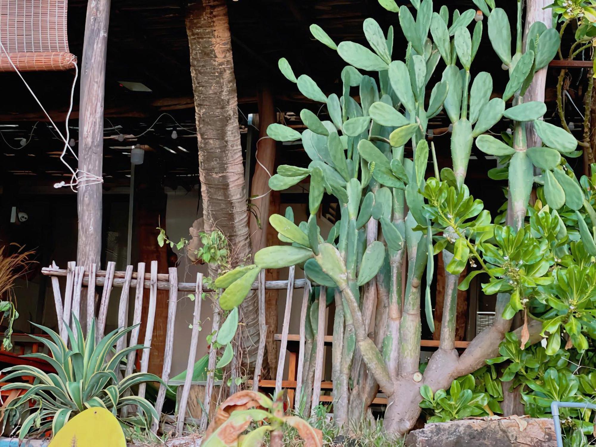 Soho 1 Phu Quoc Exterior foto